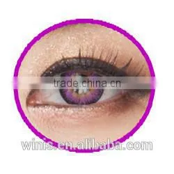 Seeshell green eyewear wholesale 5 colors korean contact lenses
