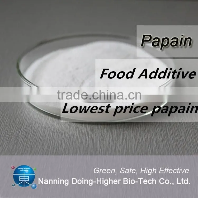 100% natural High quality factory supply papaya powder in Dried Fruit
