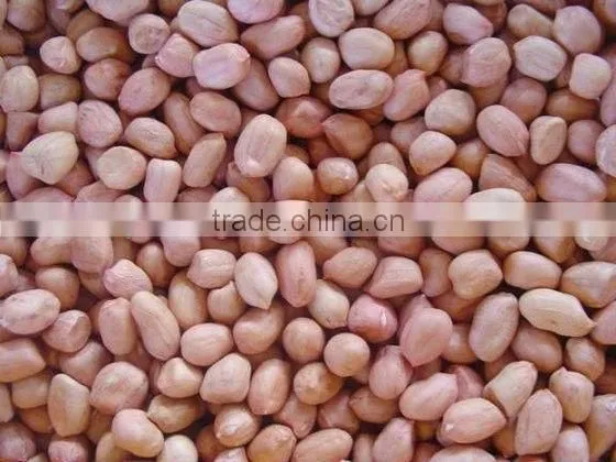 Chinese blanched peanut kernels