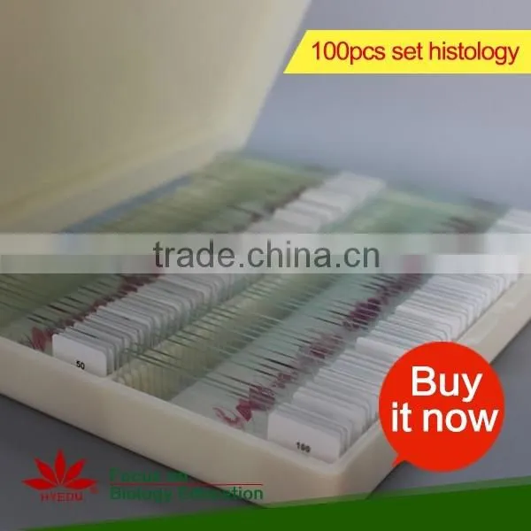 Butterfly w.m. Slides, Glass Prepared Slides,Butterfly mouthpart Prepared Slides
