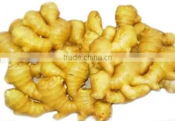 2015 new crop dried ginger