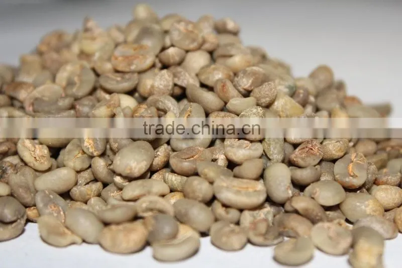 GMO arabica coffee bean price