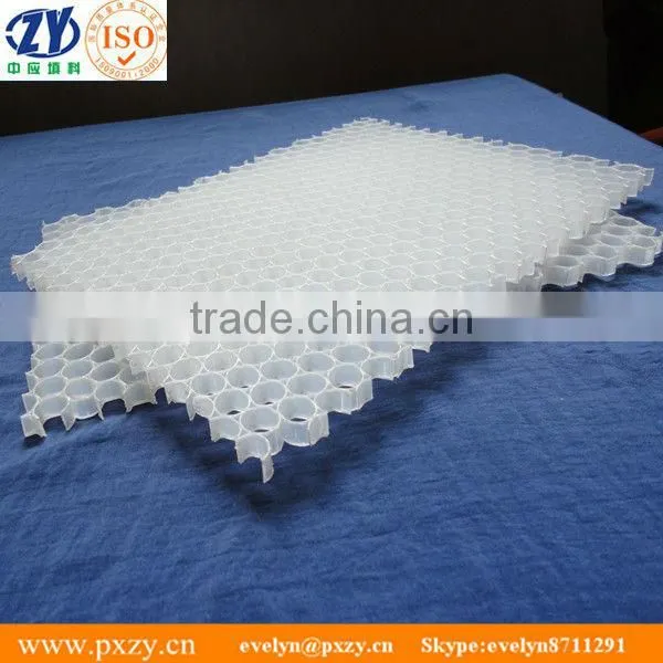 Plastic honeycomb sheet