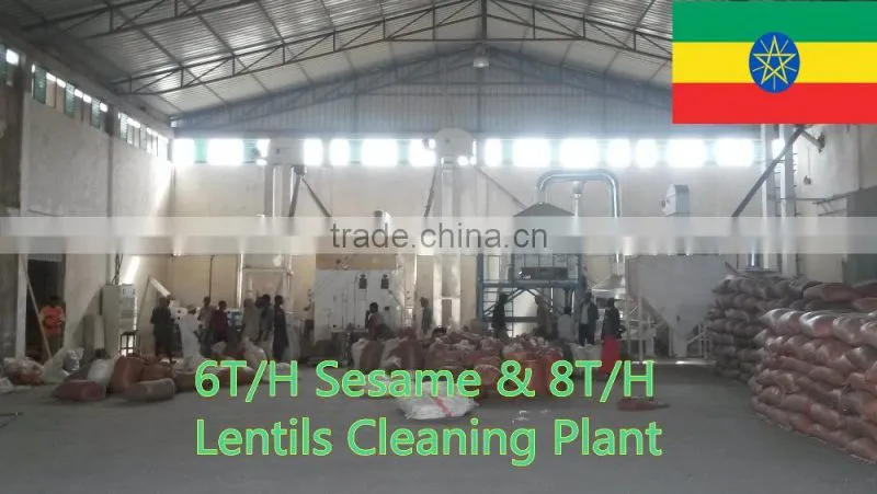 Hot Sale Wheat Corn Paddy Seed Processing Line