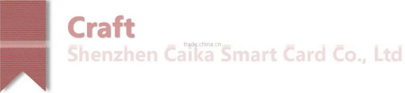 Various color plastic tag NTAG213 keyfob/keyring