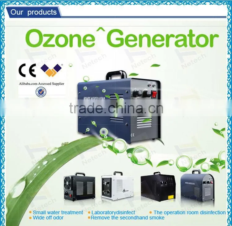 2013 popular beauty 6g ozone generator