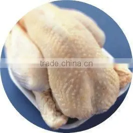 Quick freezing machine for seafood fish fillet spiral fridge freezer