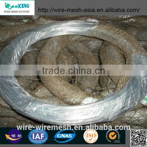 Electro/Hot Dipped Galvanized Steel Wire Factory 1.0mm