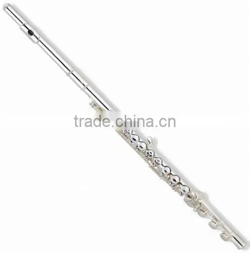 Professional 16 closed hole in line G key flute in C key