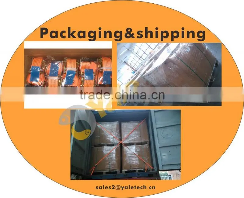 TUV/GS approved ratchet strap container belt shenzhen