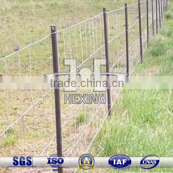 Electro Galvanized Grassland Fence