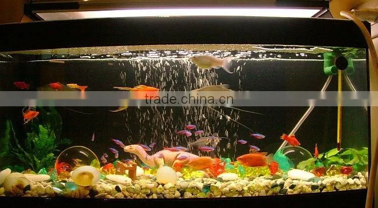 Hot sell Acrylic Bullet Fish Tanks