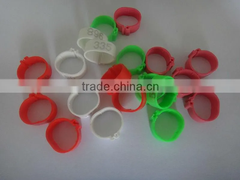 small plastic leg rings to distinguish chicken or birds