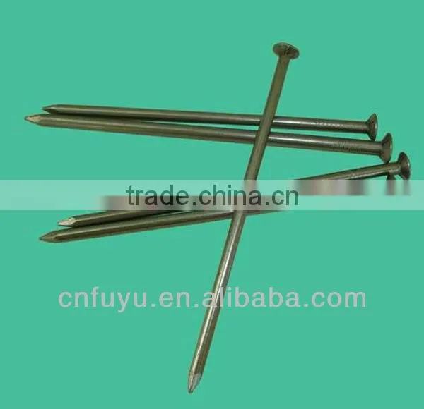 COMMON NAIL