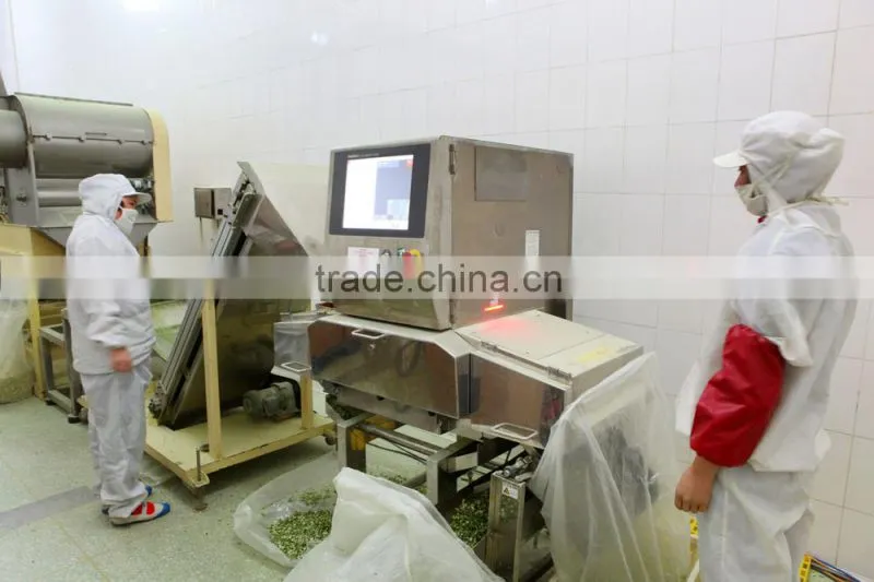 2016 Chinese Dehydrated Garlic Slice