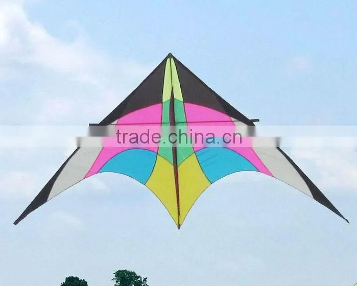3m delta kite