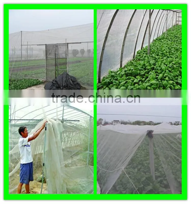 50 mesh white color Insect Proof mesh Screen for greenhouse mesh