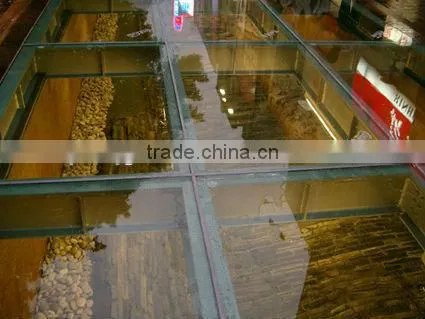 toughened laminated glass ceiling