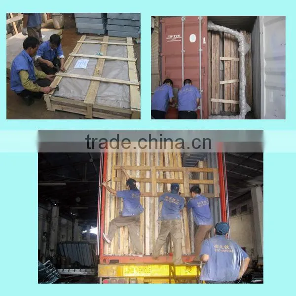 Double Iron Door