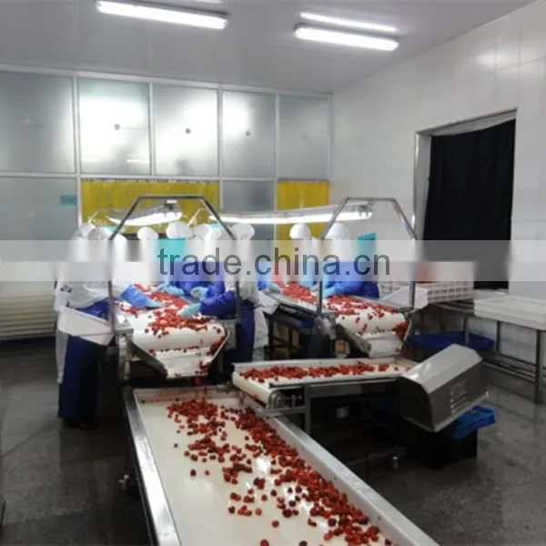PE bag packing IQF frozen strawberry from Liaoning