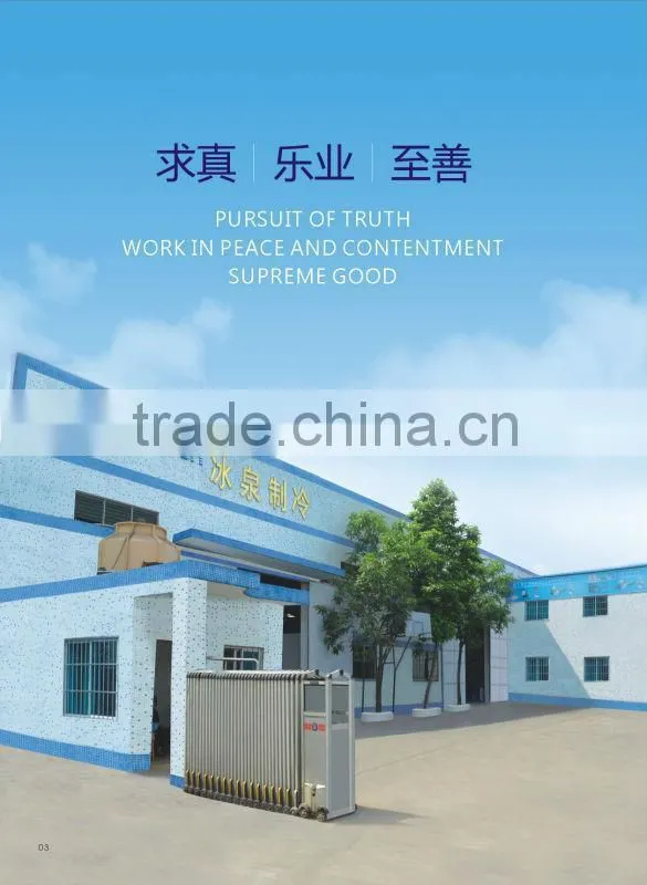 Automatic 5 Tons Flake Ice Machine with New Technology