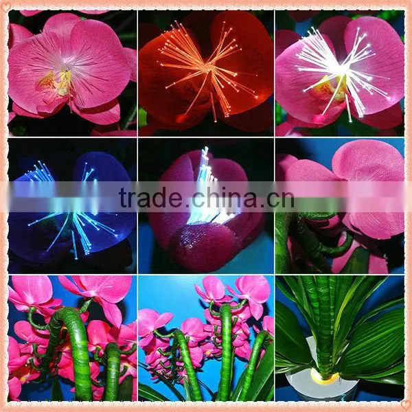 Light Up Orchid Flower / Luminescent Flower & Plant / Phalaenopsis