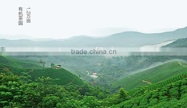 Early Spring Chinese Famous Organic Black Tea
