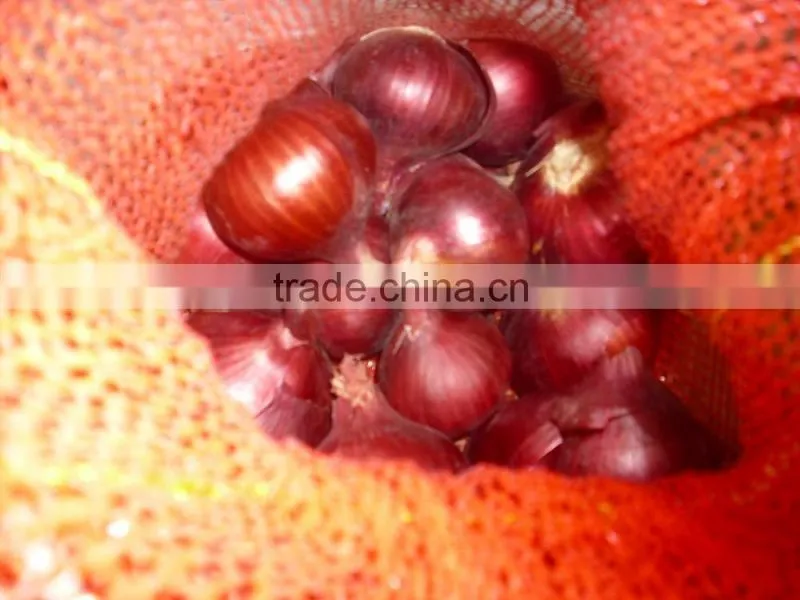 Onion