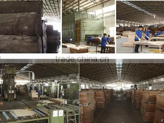 Plywood Manufacture Plywood / MDF Board