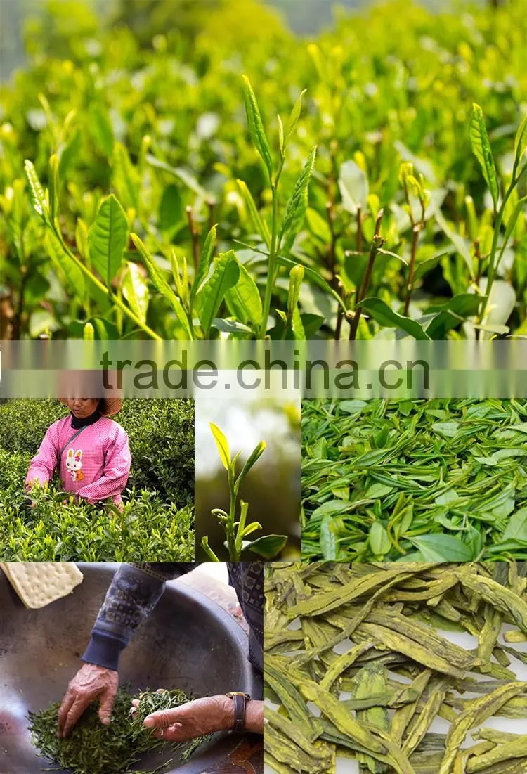 China Specialty Year Age Tea West Lake Dragon Well Green Tea