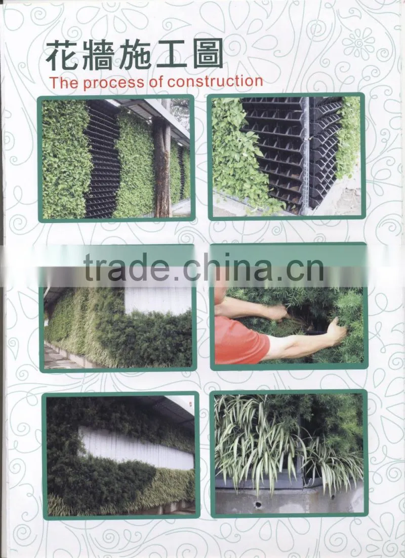 2016 Hot product Free Standing Living vertical plastic Green Wall