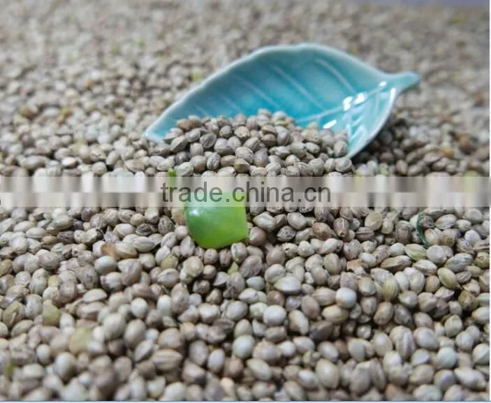 Hemp Seeds with high quality 2016 crop