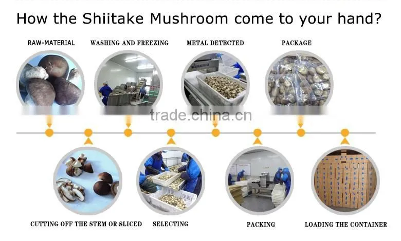 Whole IQF shiitake Mushroom China Origin