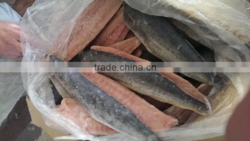 Whole Sale Top Quality Frozen Mahi Mahi Fish Fillet