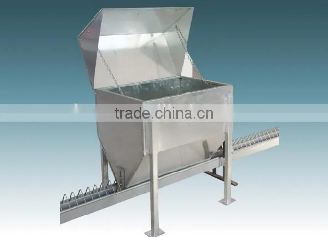 Breeder Chicken Chain Feeding System