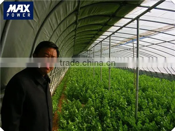 polycarbonate sheet solar greenhouse