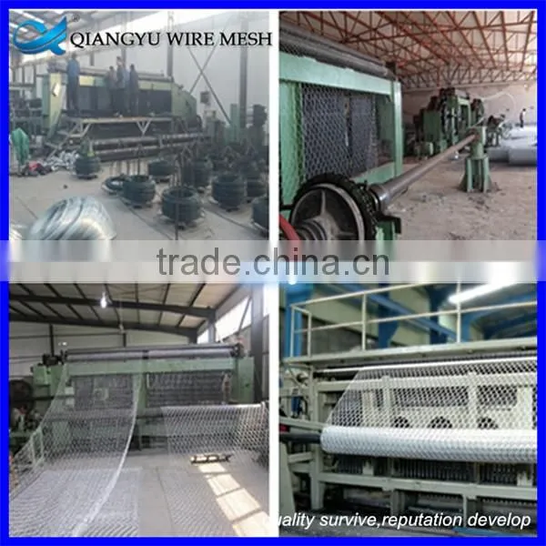 welded wire mesh gabion fence & pvc coated hexagonal wire netting gabion