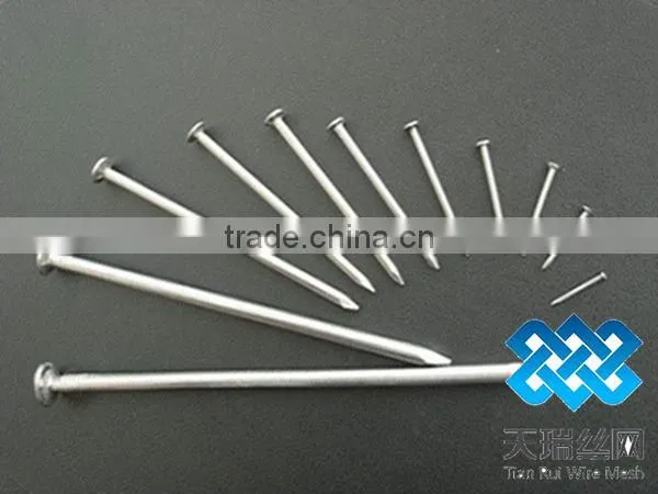 Galvanized iron nails (factory)