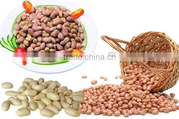 CG200 200kg/h Commercial roasted peanut peeling machine