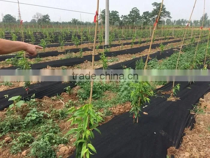 Seaworthy Transparent Polybag Packaging PP Nonwoven Fabric Silt Fence