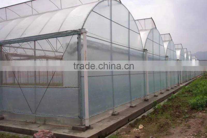 2016 new design greenhouses for roses