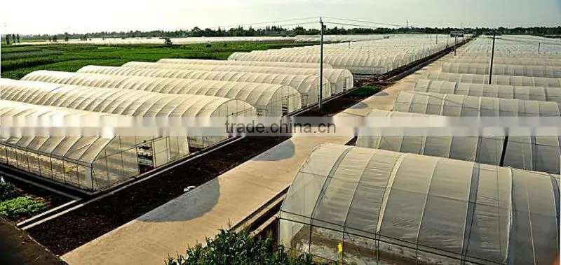 Vegetable &Fruit Used Pvc Greenhouse
