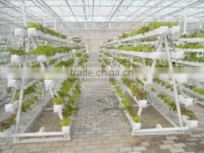 hydroponic systems plastic seedling trays, nursery pot