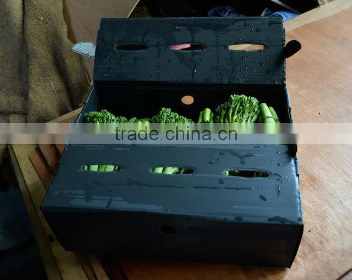 PP Layer Pad, Layer Pads, Plastic Layer Pads, corrugated plastic layer pad