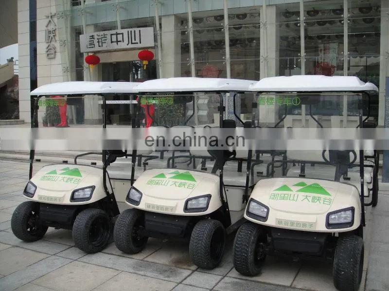 Hot Sale Electric Car 48V Brushless Motor Electric Vehicles