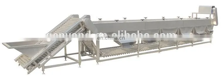 Jujube sorting machine date grading machine