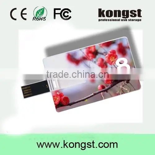Kongst promotional item 2.0 custom usb business card