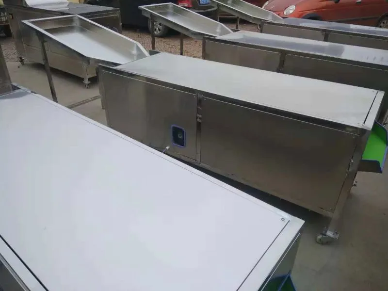 Stainless Steel Fruit Sorting Machine for Sale