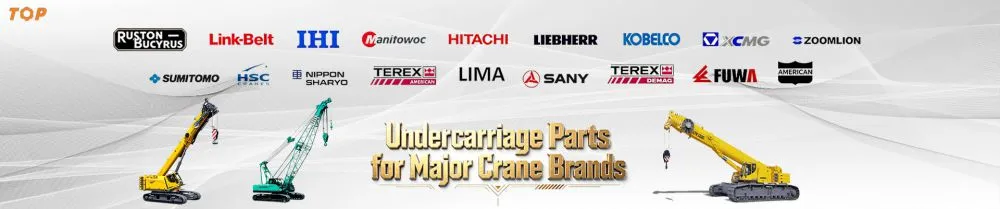banner 3.jpg.webp