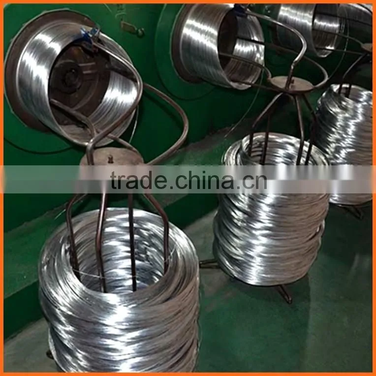 Thick Stainless Steel Annealing Wire 304 304L 316 316L 430